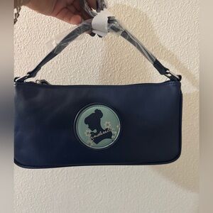 New 🆕 DANI Nicole Cinderella shoulder bag